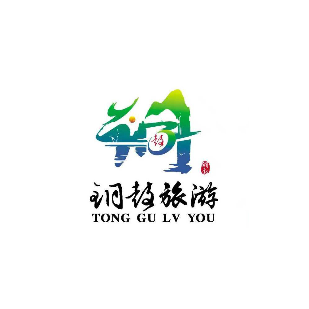 <b>宜春市铜鼓旅游有限公司</b>